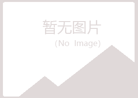 阿坝县雪萍能源有限公司